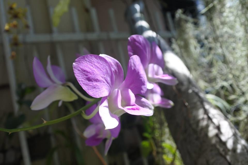 บ้านหนึ่ง แอต กะทู้ Phuket ภายนอก รูปภาพ