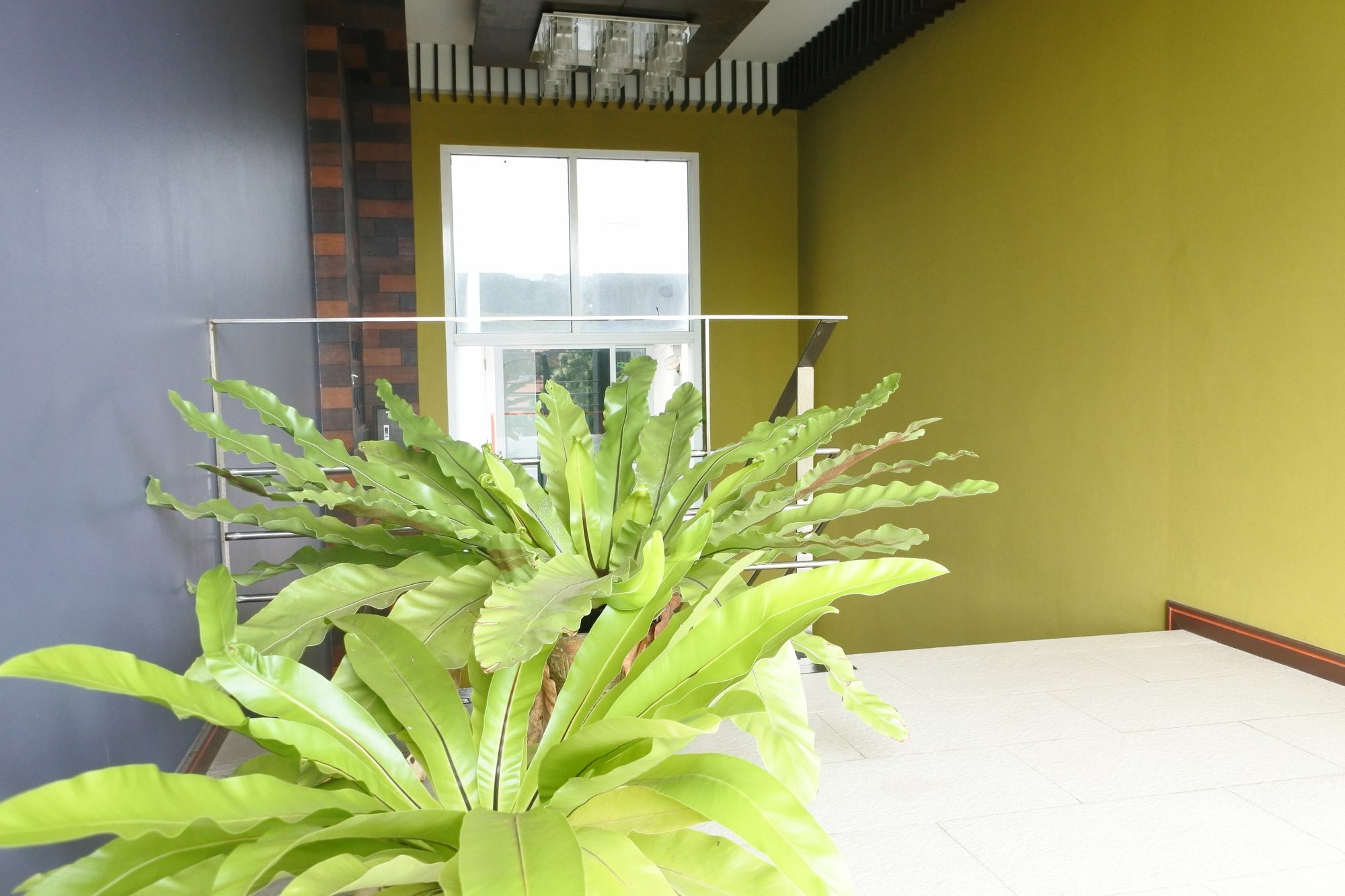 บ้านหนึ่ง แอต กะทู้ Phuket ภายนอก รูปภาพ